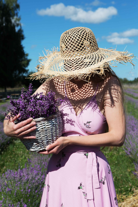 Lava Lavanda Kiev - photo 2