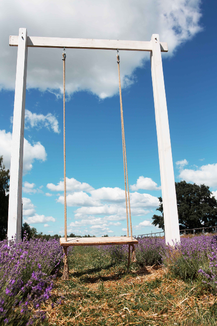 Lava Lavanda Kiev - photo 5