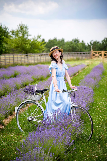 Lava Lavanda Kiev - photo 1