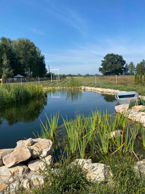 Lava Lavanda Kiev - photo 7