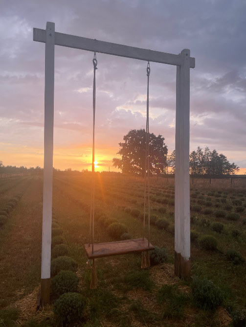 Lava Lavanda Kiev - photo 4