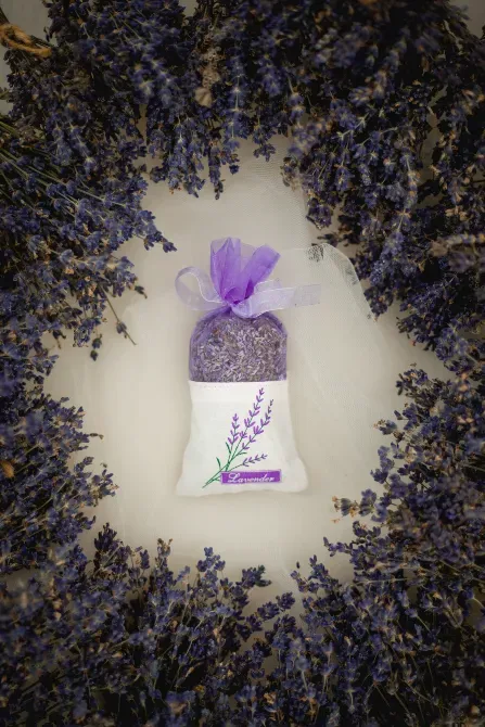 Лавандове поле (Лаванда Конча Заспа) Київ - зображення 9