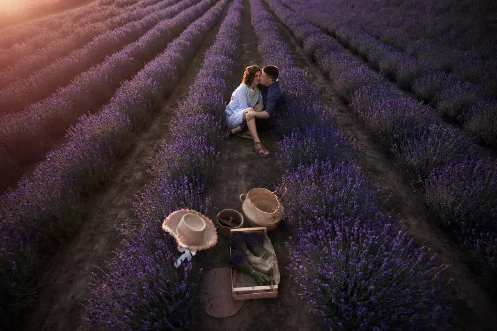 Лавандова ферма "Лавандовий маєток" Бориспіль - зображення 8