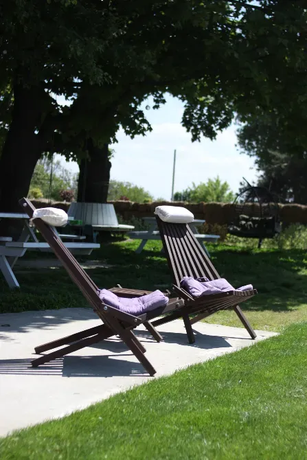 Еко парк oLawander Димер - зображення 2