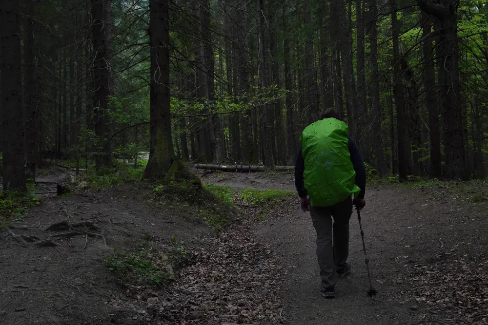 Гора Кострича Верховина - зображення 7