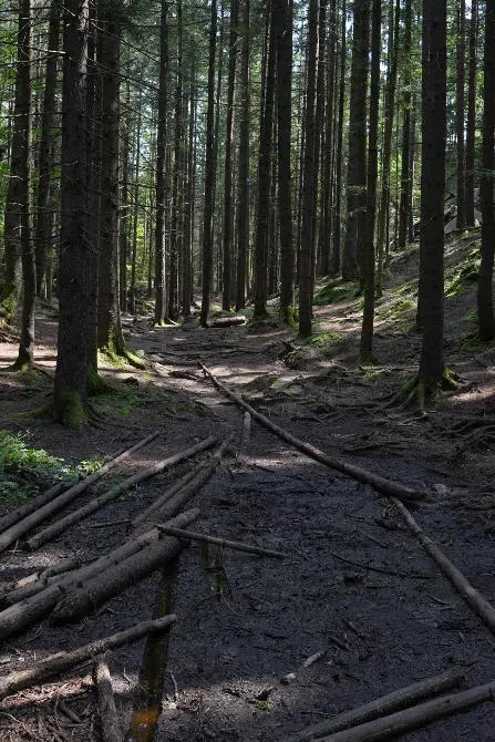 Стежки Довбуша Yaremche - photo 9