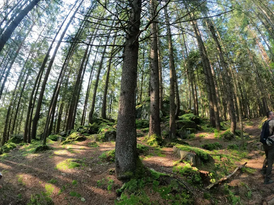 Стежки Довбуша Yaremche - photo 2