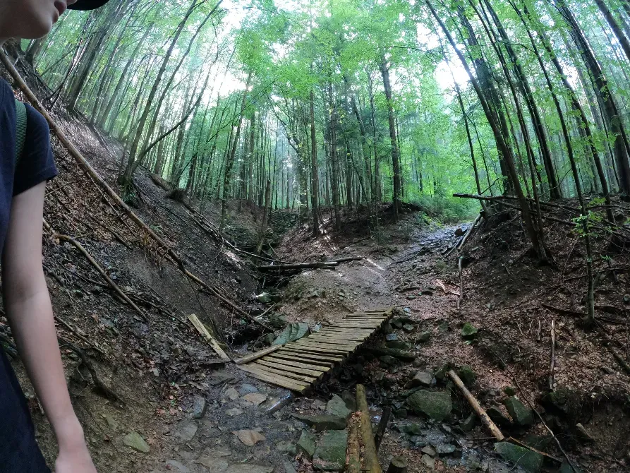 Гора Хом'як  - photo 10