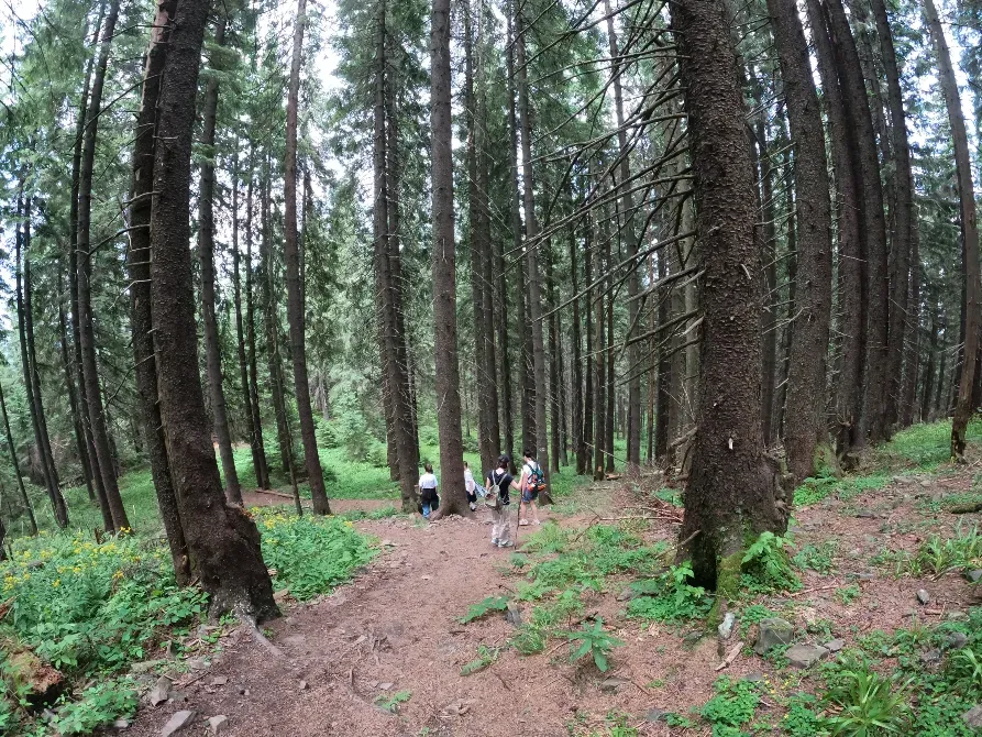 Гора Хом'як  - photo 9