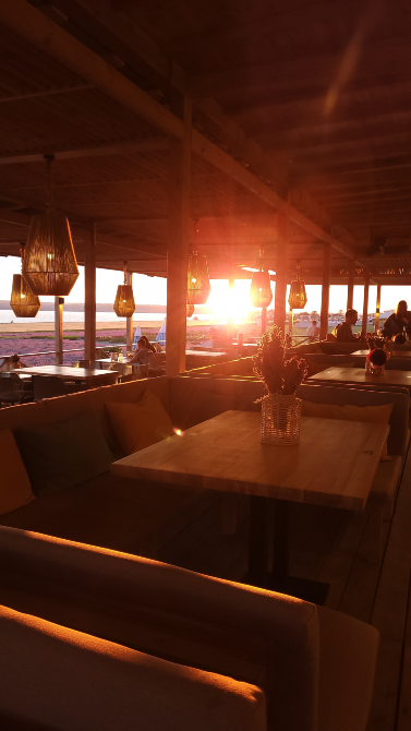 "Рідні" в Лавандії Odessa - photo 2