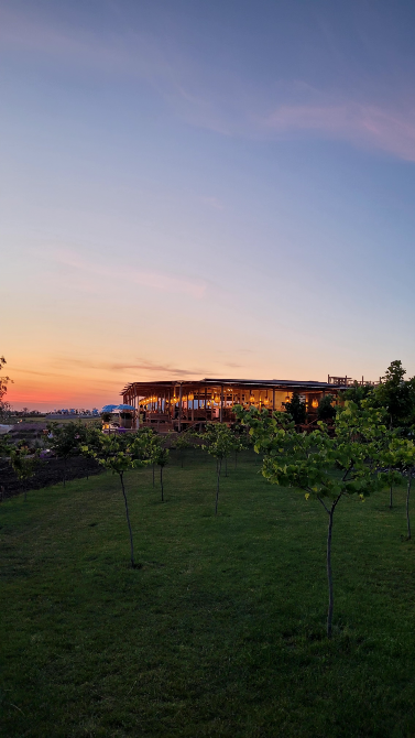 "Рідні" в Лавандії Odessa - photo 1