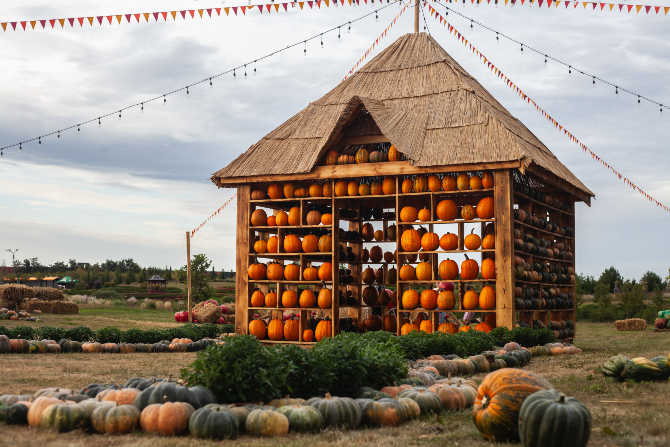 Добропарк - сімейний парк під Києвом Kiev - photo 2