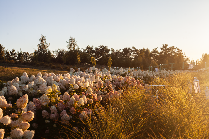 Добропарк - сімейний парк під Києвом Kiev - photo 6