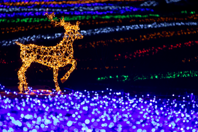 Добропарк - сімейний парк під Києвом Kiev - photo 10