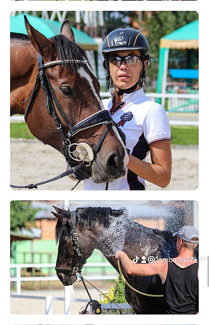 Кінний клуб Фаворит Kiev - photo 3