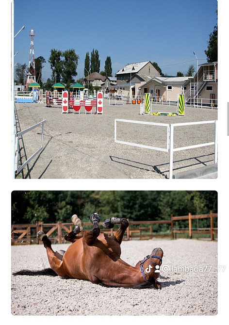 Кінний клуб Фаворит Kiev - photo 2