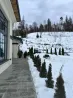 Таунхаус 