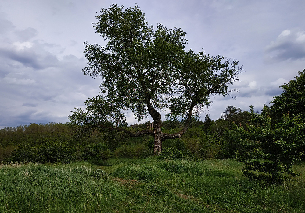 Витачів Obukhiv - photo 5