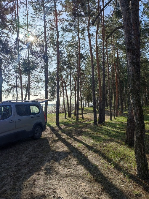 Риболовля біля села Лозівок Cherkasy - photo 4