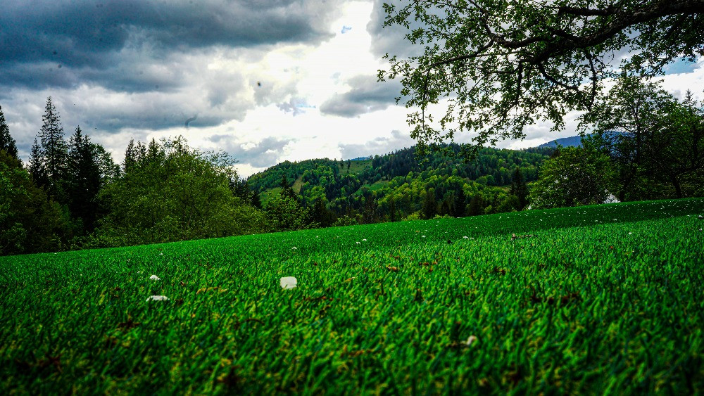 ЗДАЮ БУДИНОК У СНІДАВЦІ У ЛІСІ В ГОРАХ. Kosov - photo 4