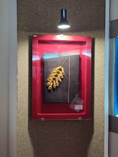 Музей медицини Kiev - photo 7