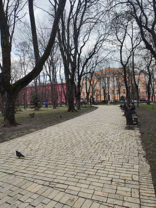 Парк імені Тараса Шевченка Kiev - photo 5