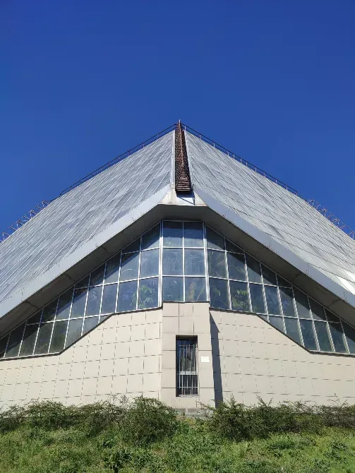 Оранжерея в ботсаду ім. М. М. Гришка Kiev - photo 2