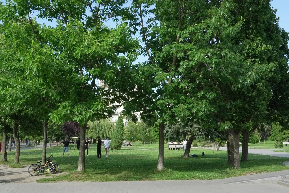 Івано-франківське озеро Ivano-Frankivs'k - photo 10