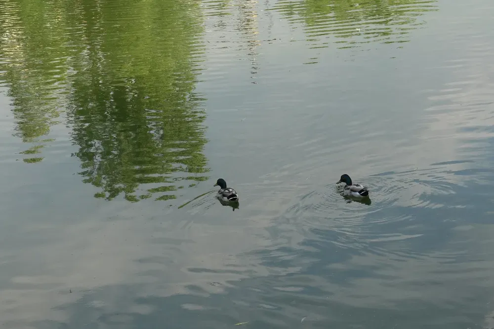 Острів кохання Ivano-Frankivs'k - photo 2