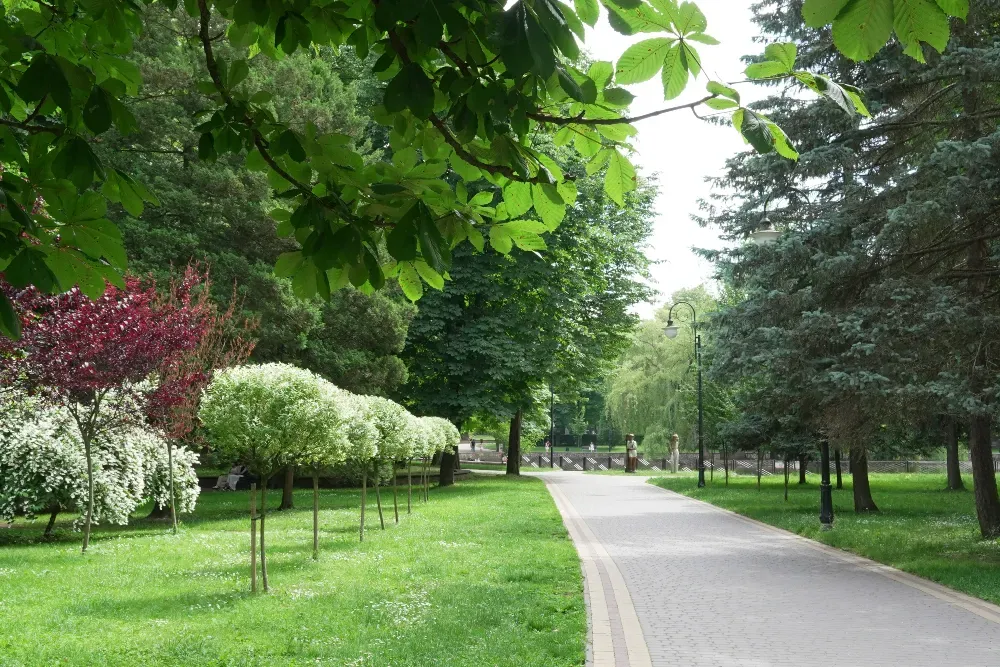 Парк ім. Тараса Шевченка Ivano-Frankivs'k - photo 1