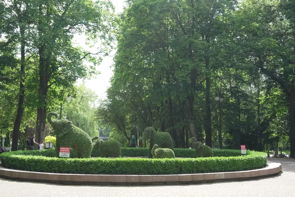 Парк ім. Тараса Шевченка Ivano-Frankivs'k - photo 2