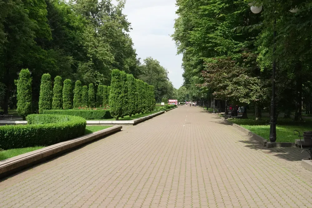 Парк ім. Тараса Шевченка Ivano-Frankivs'k - photo 3