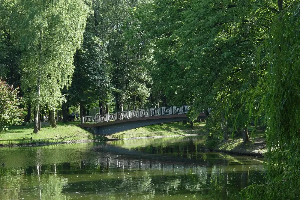 Парк ім. Тараса Шевченка Ivano-Frankivs'k - photo 5