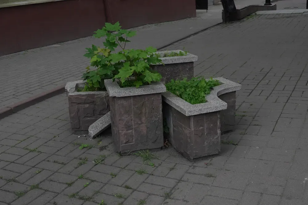 Арка міського права (арка дружби) Ivano-Frankivs'k - photo 4