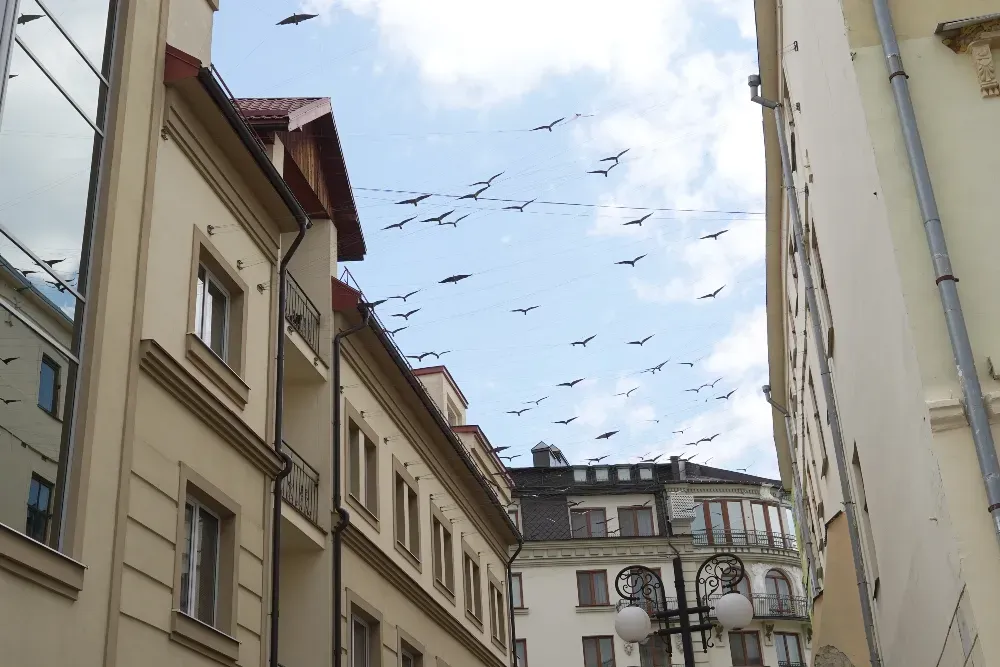 Майдан імені Андрія Шептицького Ivano-Frankivs'k - photo 5