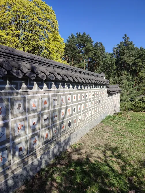 Корейський традиційний сад Kiev - photo 5