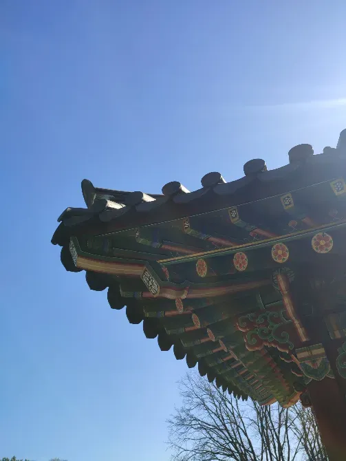 Корейський традиційний сад Kiev - photo 4